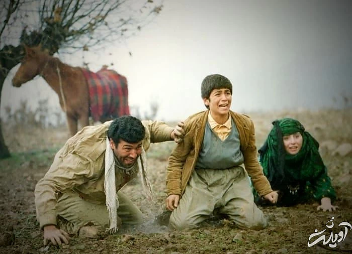 ژاله صامتی